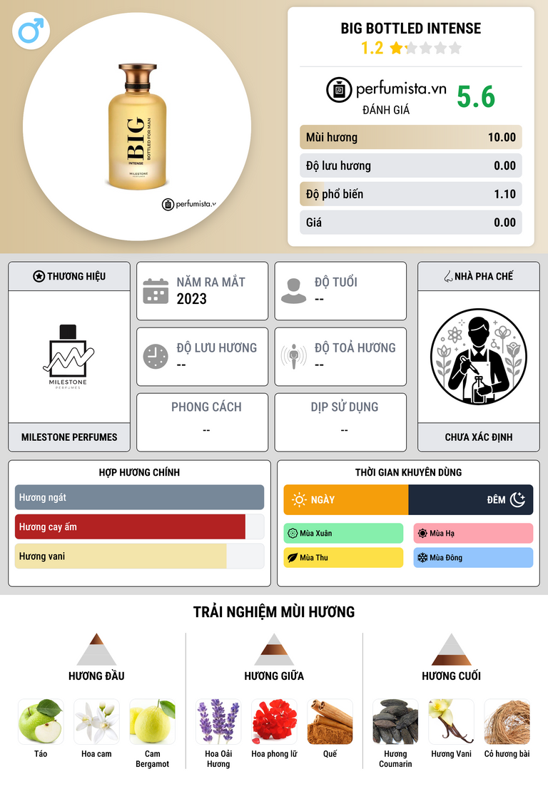 Thông tin chi tiết Big Bottled Intense