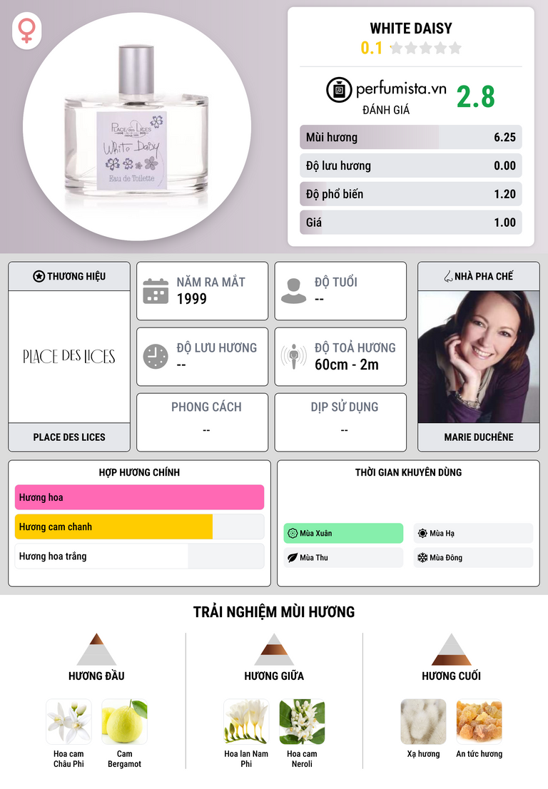 Thông tin chi tiết White Daisy