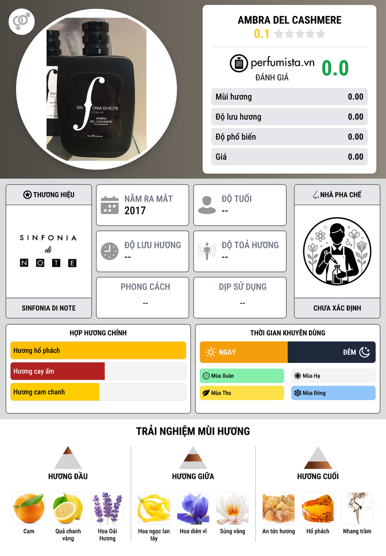 Thông tin chi tiết Ambra Del Cashmere