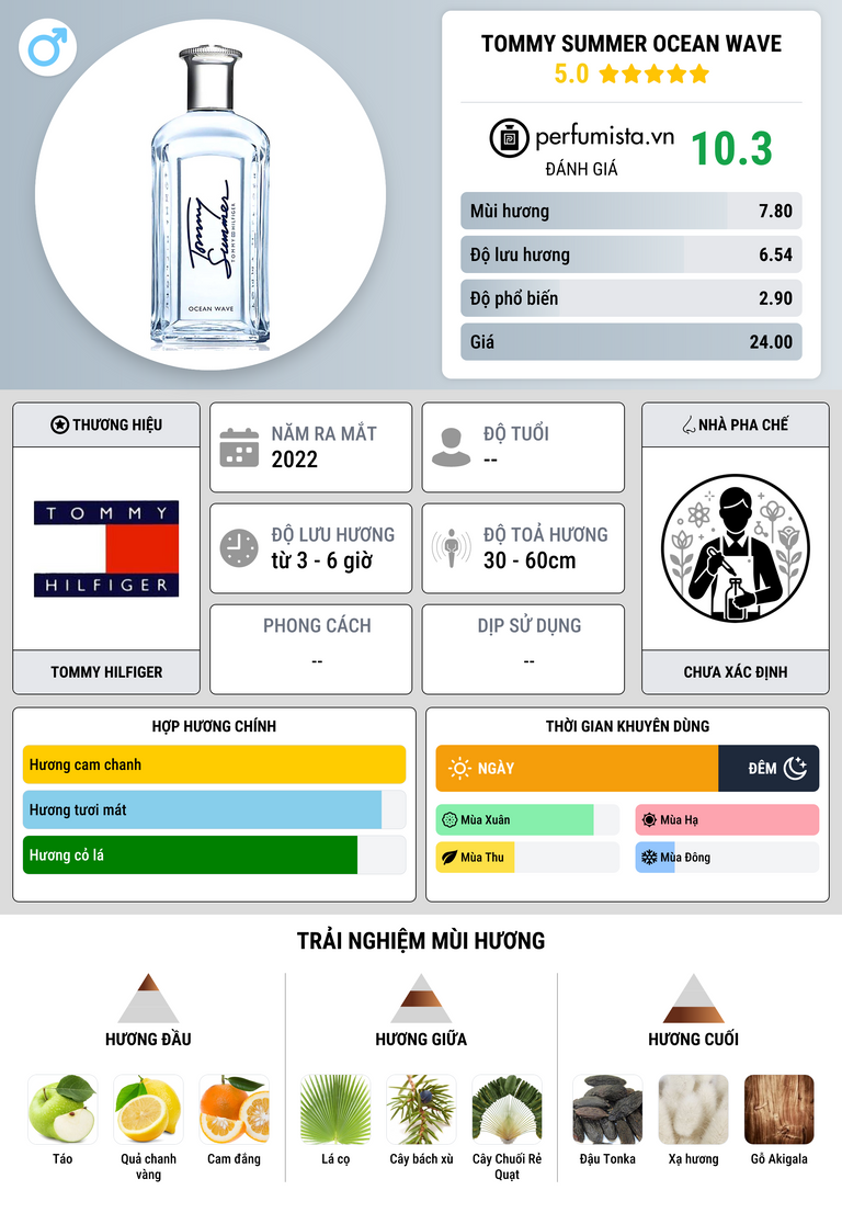 Thông tin chi tiết Tommy Summer Ocean Wave