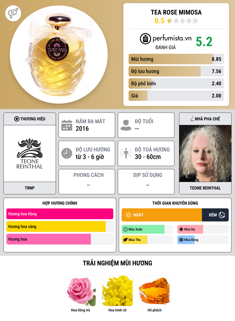 Thông tin chi tiết Tea Rose Mimosa