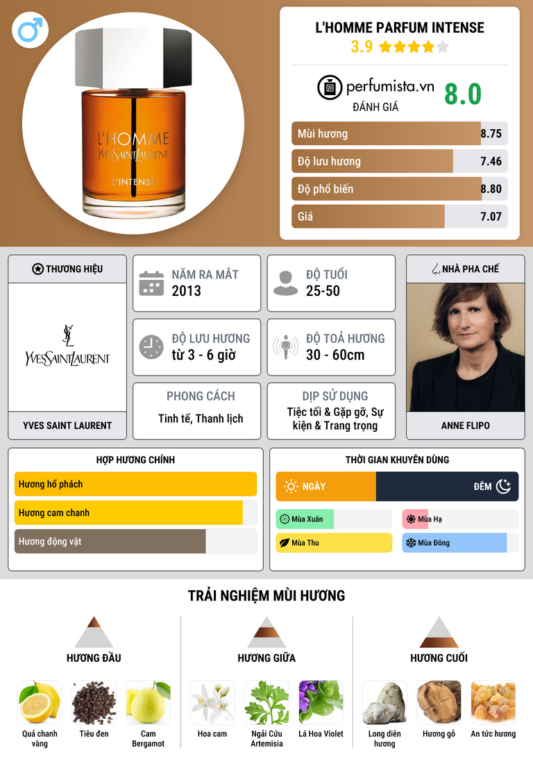Thông tin chi tiết L'Homme Parfum Intense