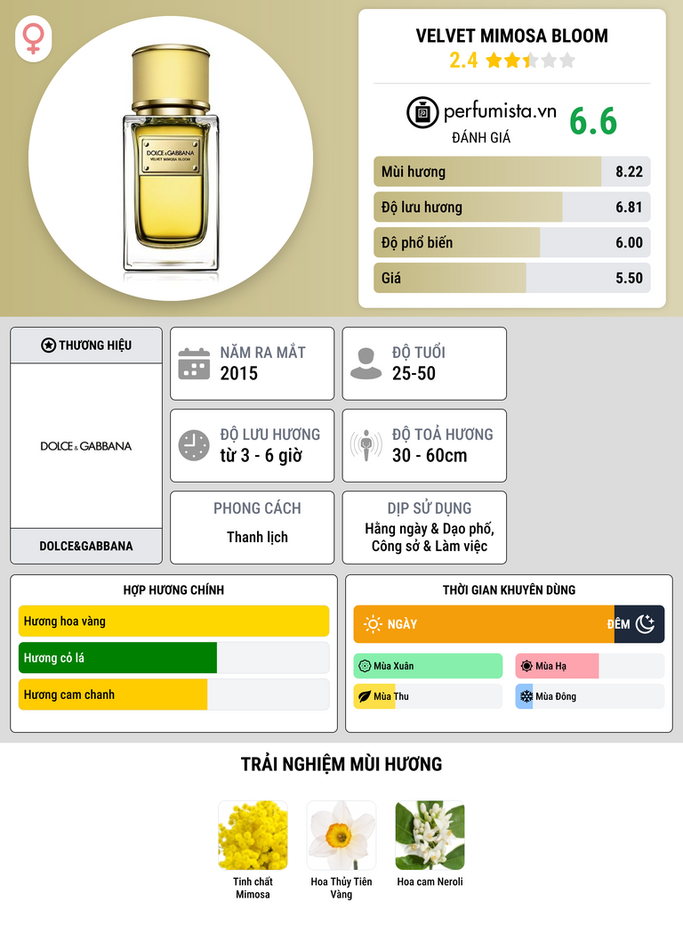 Thông tin chi tiết Velvet Mimosa Bloom