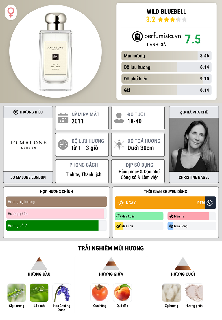 Thông tin chi tiết Wild Bluebell